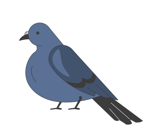 Pigeon sitting  Illustration