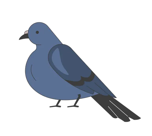 Pigeon sitting  Illustration