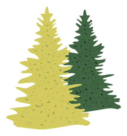 Pine tree  Illustration