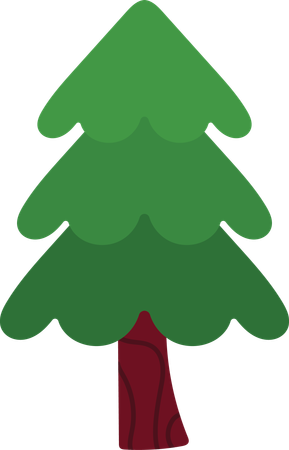 Pines Tree  Illustration