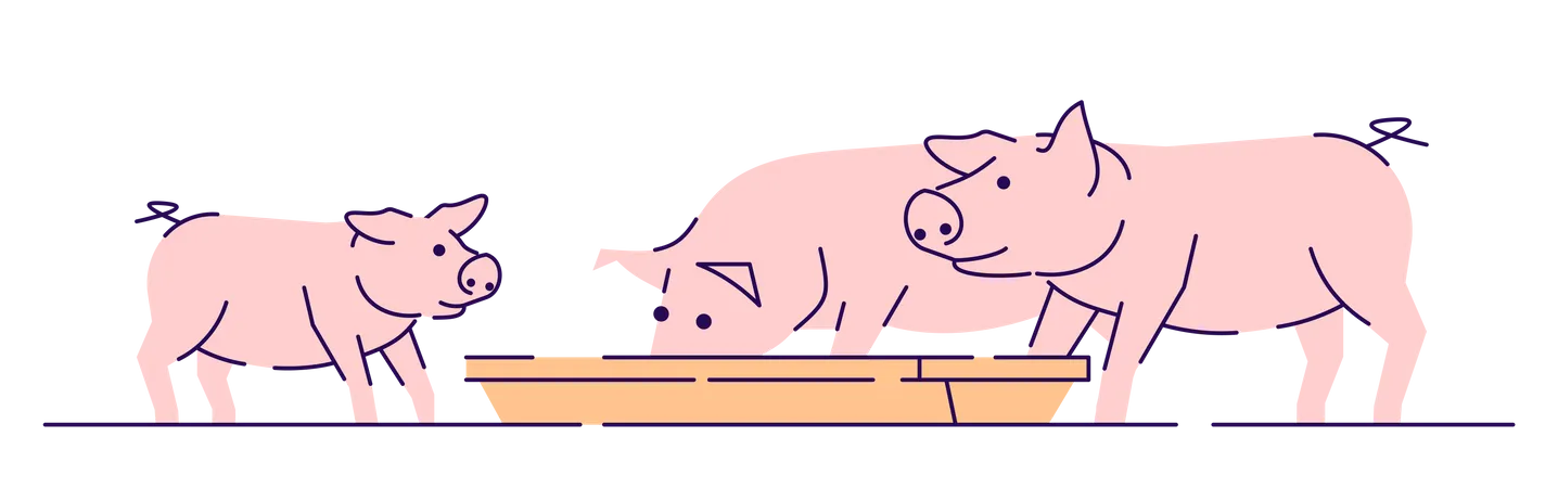 Pink pigs feeding Illustration