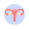 illustrations for uterus