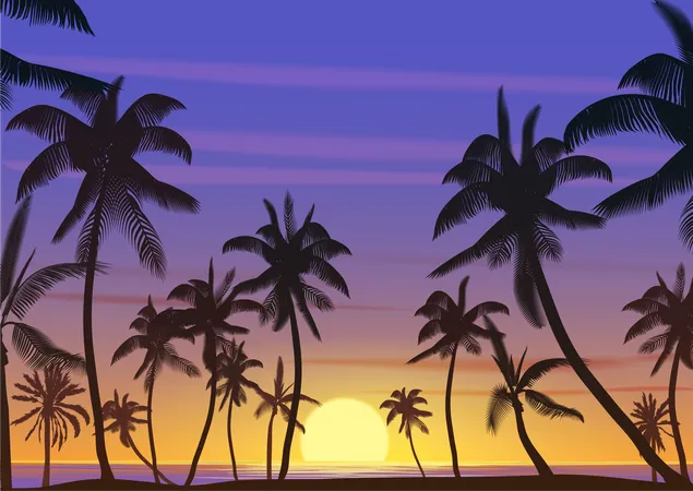 Coucher de soleil sur la plage  Illustration