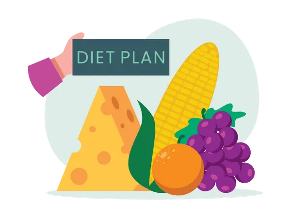 Plan de dieta equilibrada  Ilustración