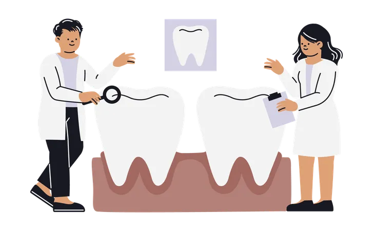 Plan de traitement dentaire  Illustration