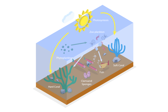 Plankton Life  Illustration