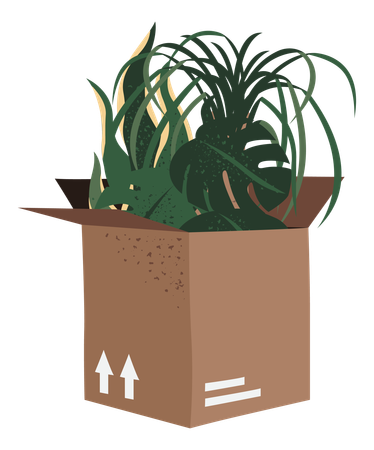 Plant Delivery  Illustration