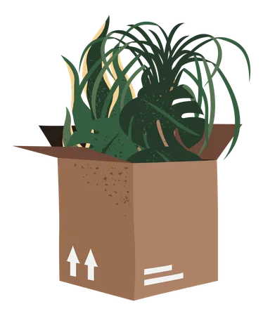 Plant Delivery  Illustration