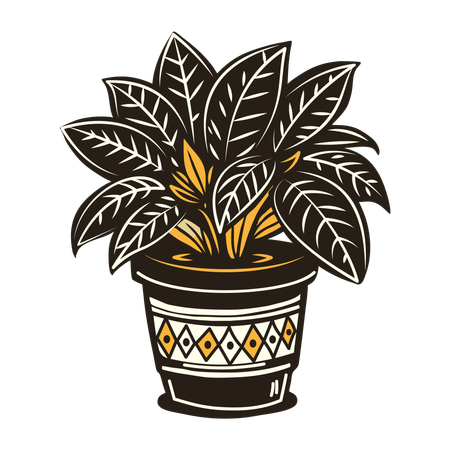 Plant  Illustration