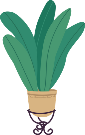 Plant in pot Illustration