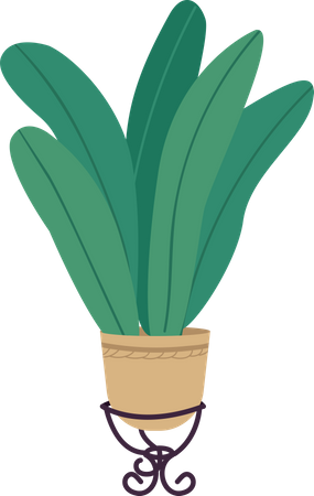 Plant in pot  Illustration