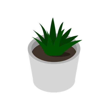 Plant Pot  Illustration