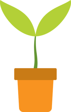 Plant pot  Illustration