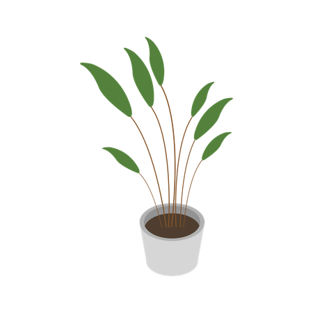 Plant Vase  Illustration
