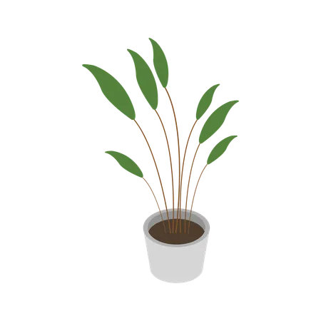 Plant Vase  Illustration