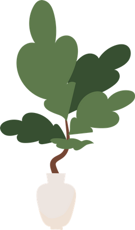 Plant with big green leaves in pot  Illustration