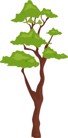 Planta de bonsái al aire libre  Ilustración