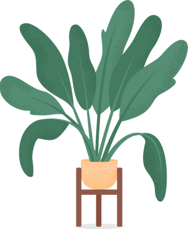 Planta doméstica  Ilustração