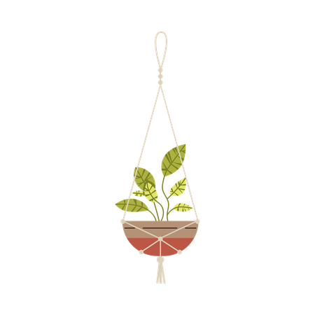 Planta colgante en maceta con macramé  Ilustración