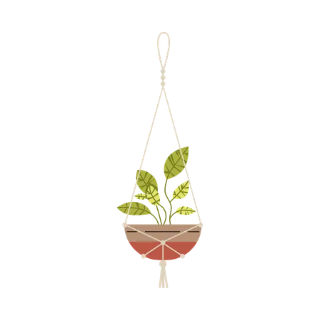 Planta colgante en maceta con macramé  Ilustración