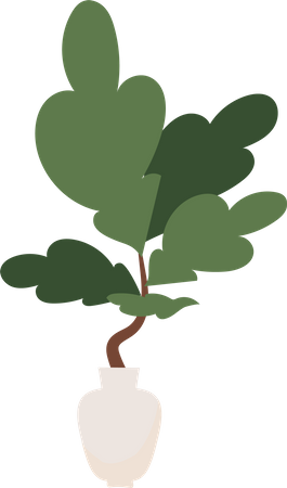Planta com grandes folhas verdes em vaso  Ilustração