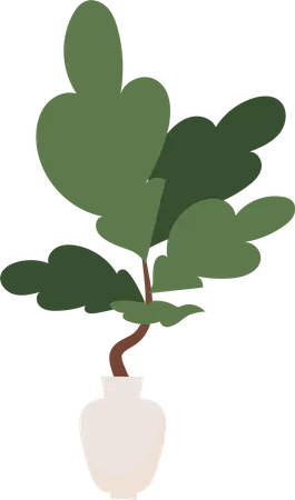 Planta con grandes hojas verdes en maceta.  Ilustración