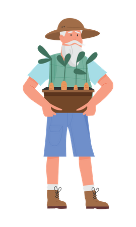 Velho jardineiro segurando planta  Ilustração