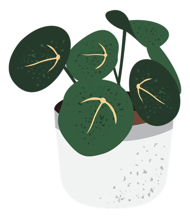 Planta de interior  Ilustración