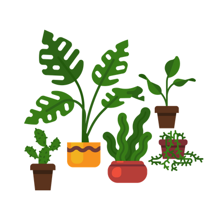Planta de queso suizo, sansevieria, cactus y más  Ilustración