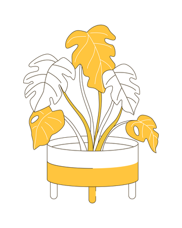 Planta grande  Ilustración
