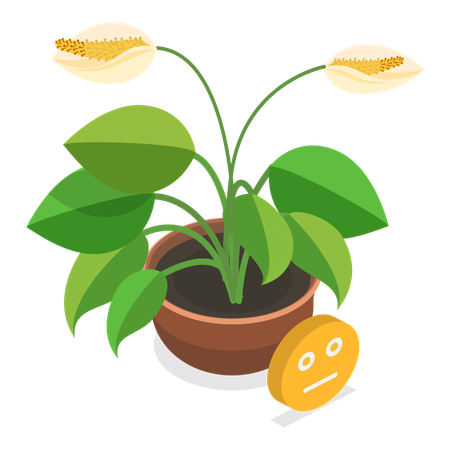 Planta morrendo  Ilustração