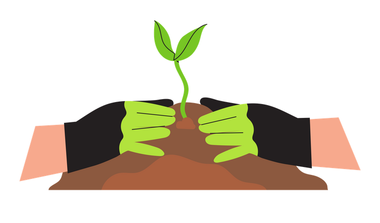 Plantando uma planta  Ilustração