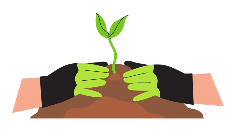 Plantar una planta  Ilustración