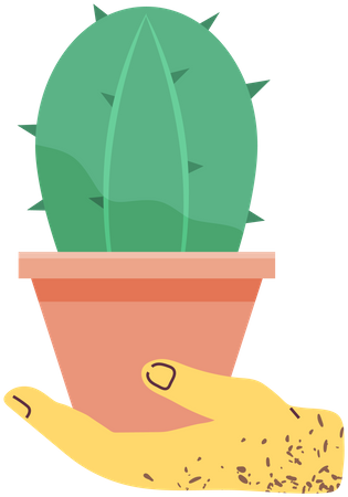 Plantas decorativas para casa  Ilustração