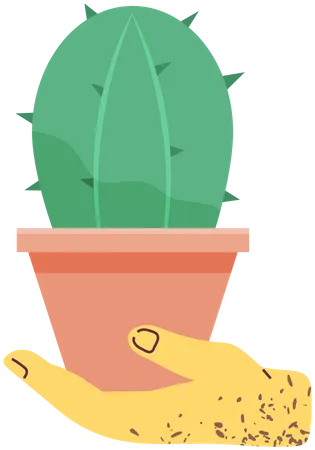 Plantas decorativas para casa  Ilustração