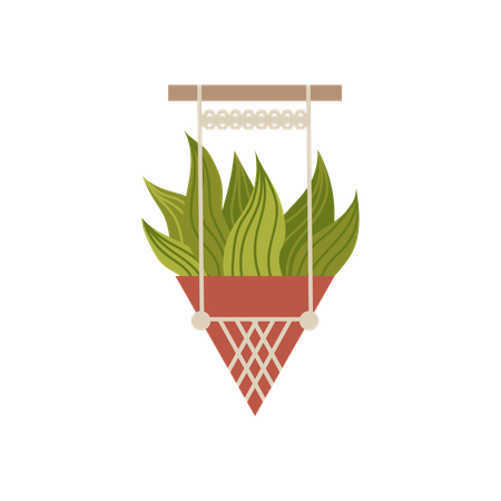 Plante d'aloe vera dans un pot de fleurs décoré d'un motif macramé  Illustration