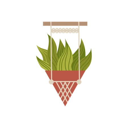 Plante d'aloe vera dans un pot de fleurs décoré d'un motif macramé  Illustration