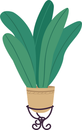 Plante en pot  Illustration