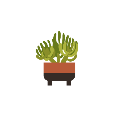 Plante en pot douillette  Illustration