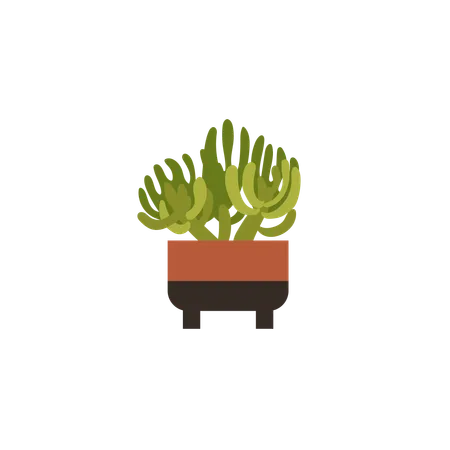 Plante en pot douillette  Illustration