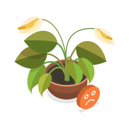 Plante mourante  Illustration