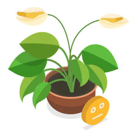 Plante mourante  Illustration