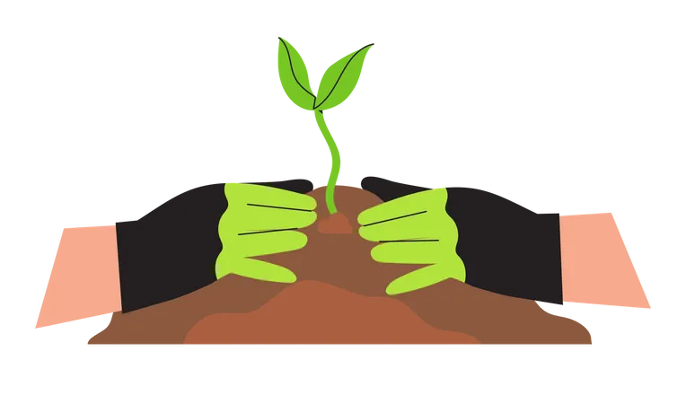 Planting a plant Illustration