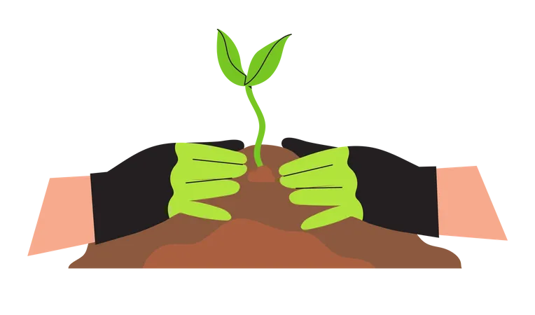 Planting a plant  Illustration