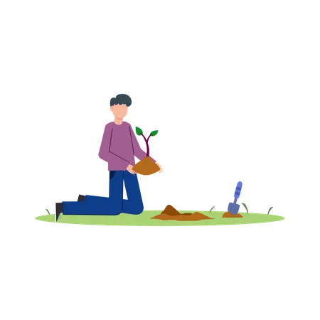 Planting Plants  Illustration