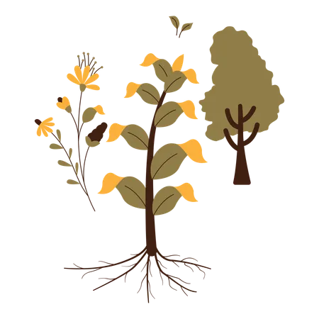 Plants Natural Resource Vector Illustration In Flat Style With Natural Resource Theme Editable Vector Illustration 일러스트레이션