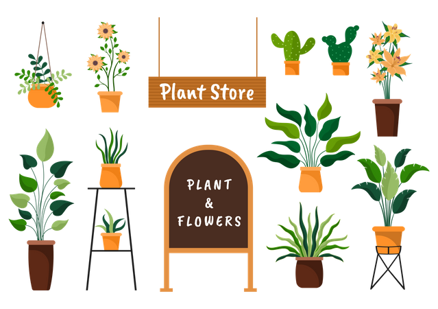 Plants Store  Illustration