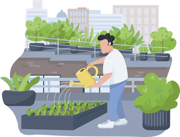 Plants watering  Illustration