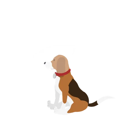 Beagle Dog With Elizabethan Collar Plastic Cone Of Shame Flat Vector Cartoon Illustration Illustration