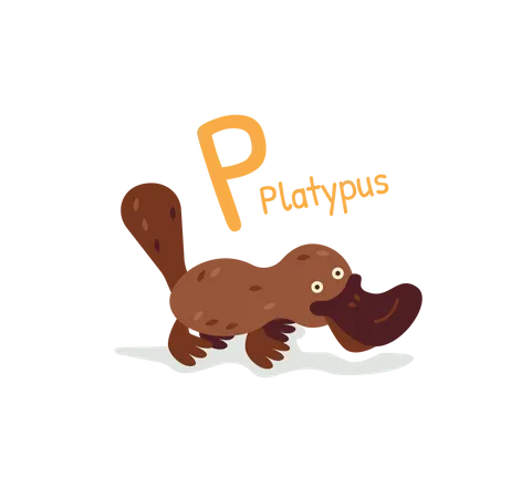 Platypus  일러스트레이션